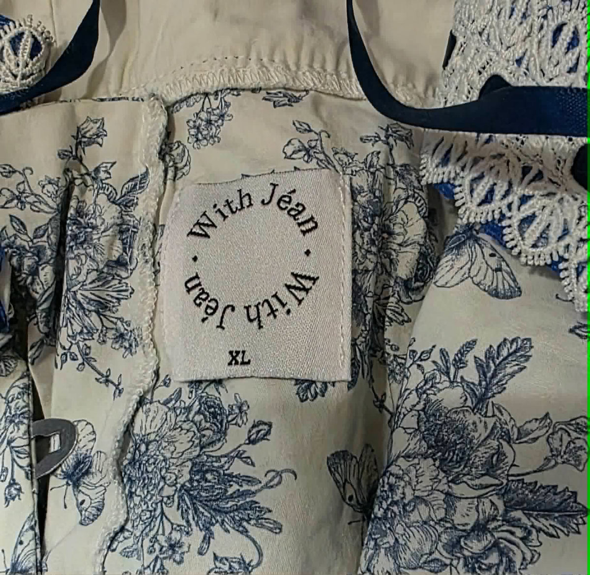 Blue Toile Corset Mini Dress